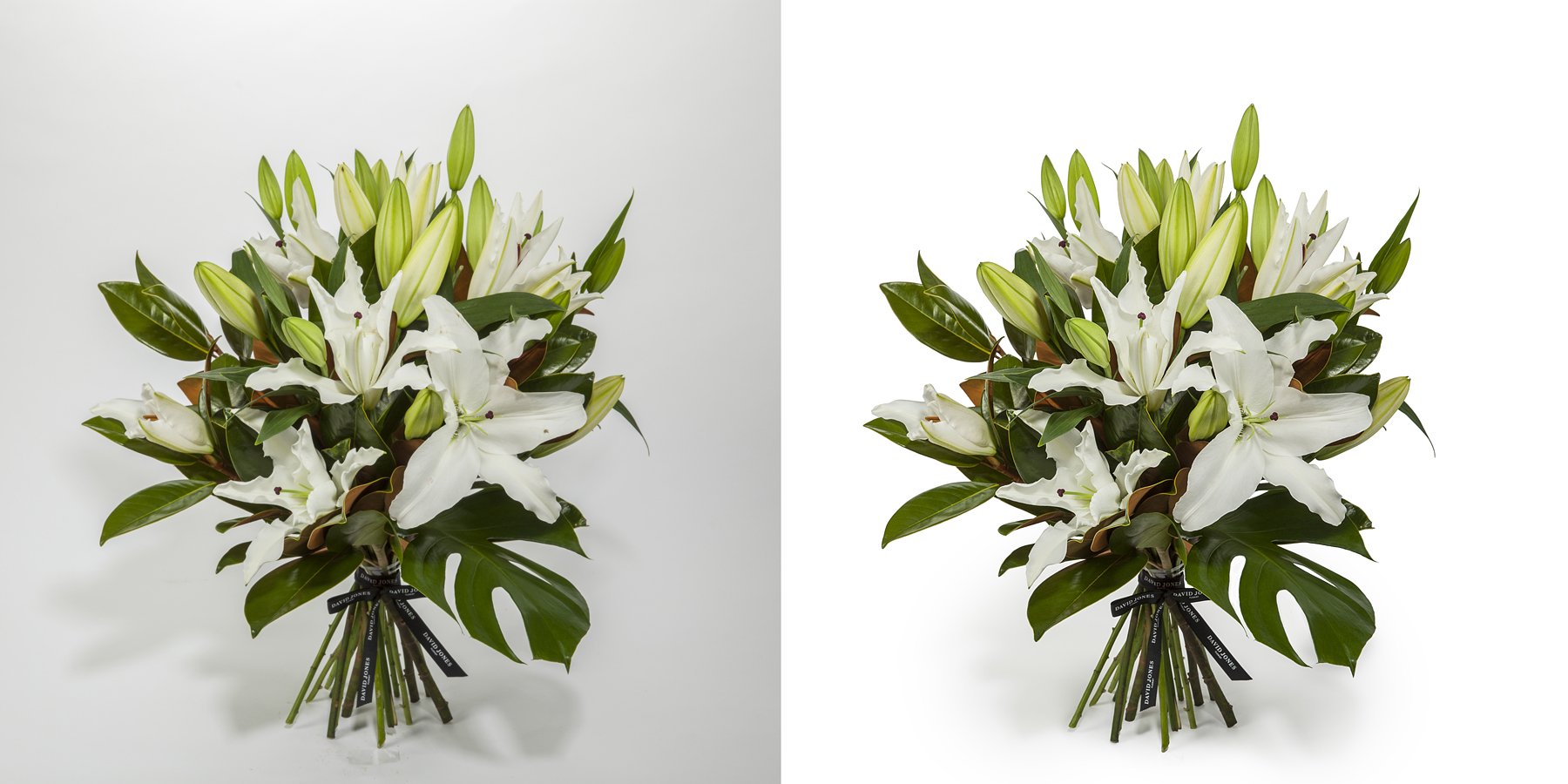 Clipping Paths & Masking_15